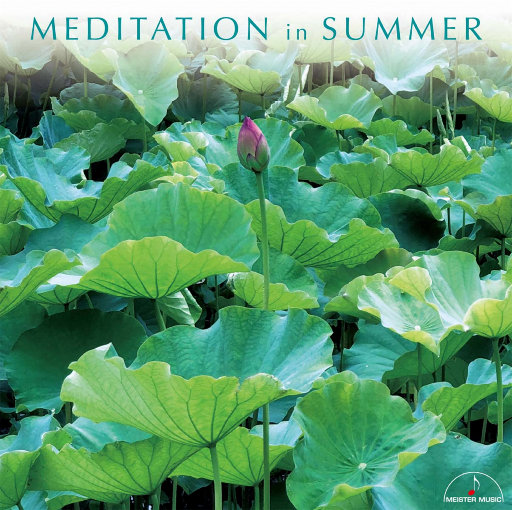 男人添女人b的视频
